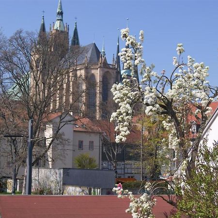 Hotelpension Am Dom エアフルト エクステリア 写真